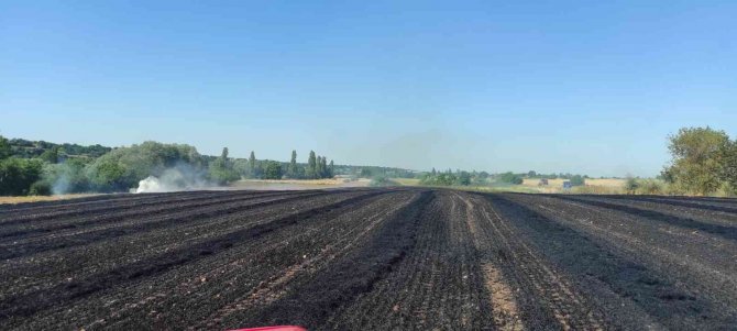 Kırklareli’de 55 Dekar Buğday Tarlası Küle Döndü