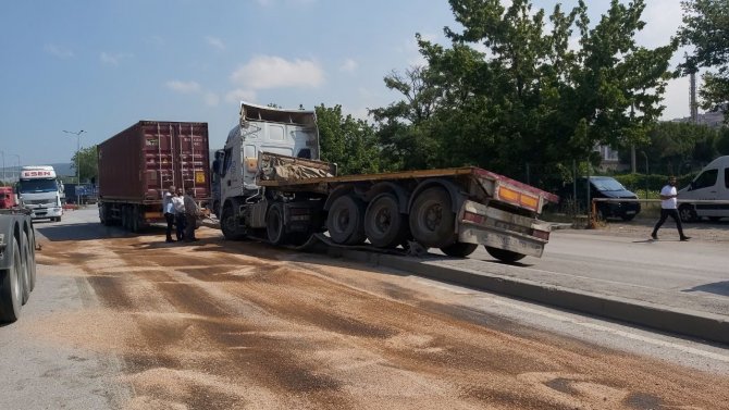 Direksiyonu Kilitlenen Tır Refüjün Üstündeki Direğe Çarptı