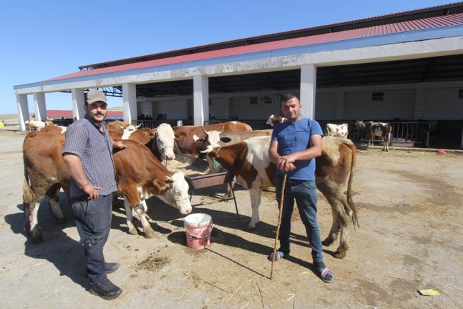 Bayburt’ta Kurban Kesim Yerleri Belli Oldu