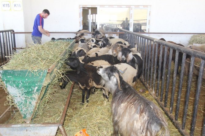 Bayburt’ta Kurban Kesim Yerleri Belli Oldu