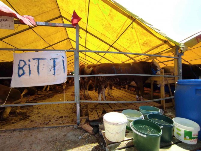 Kurban Pazarında ’Bitti’ Yazıları Asıldı