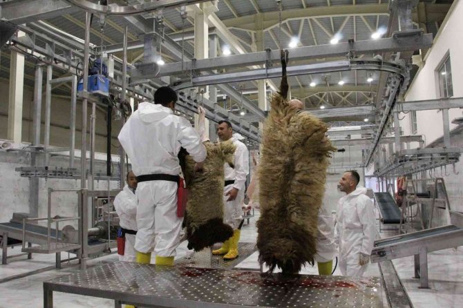 Uzman Doktor Uyardı: "Kurban Keserken Mikrop Kapmayın"