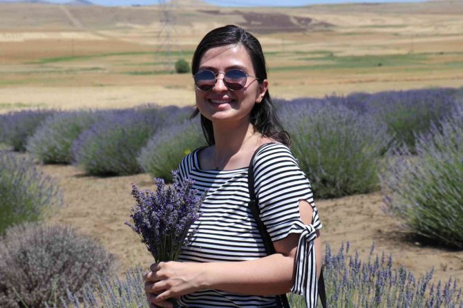 Lavanta Tarlalarında Görsel Şölen