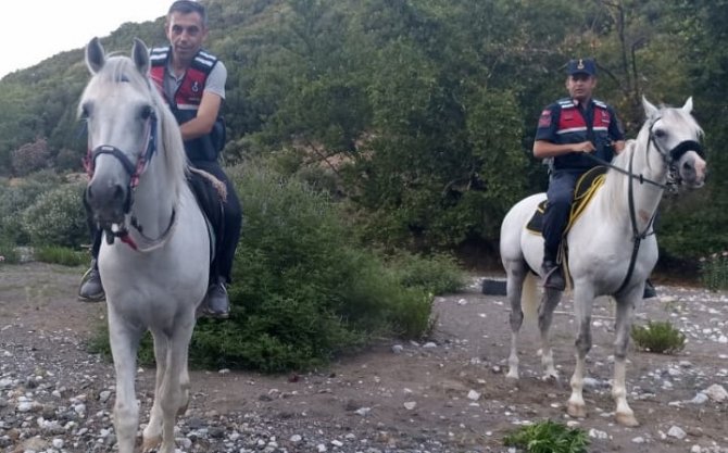 Jandarma Atlarla Kenevir İzi Sürdü