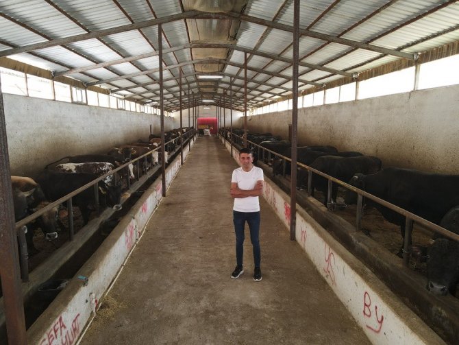 Atıl Vaziyetteki Mandırasının Çatısını Gelire Dönüştürdü