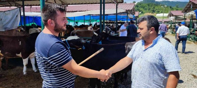 Ünye’deki Modern Hayvan Pazarında Yoğunluk