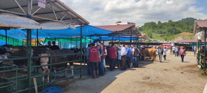 Ünye’deki Modern Hayvan Pazarında Yoğunluk