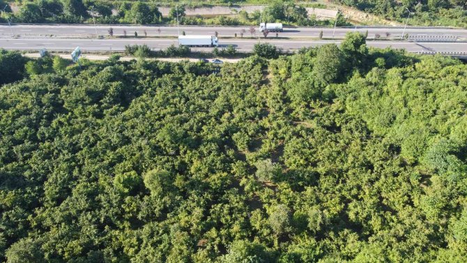 Ünye, Oto Galericiler Sitesine Kavuşuyor