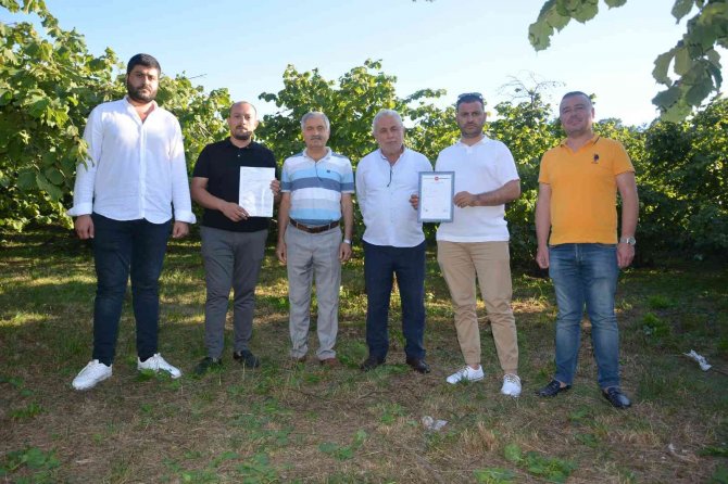 Ünye, Oto Galericiler Sitesine Kavuşuyor