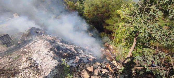 Ormancıların Zamanında Müdahalesi Yangının Büyümesini Önledi
