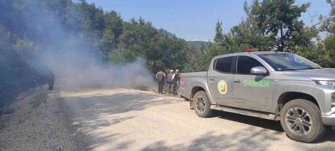 Ormancıların Zamanında Müdahalesi Yangının Büyümesini Önledi