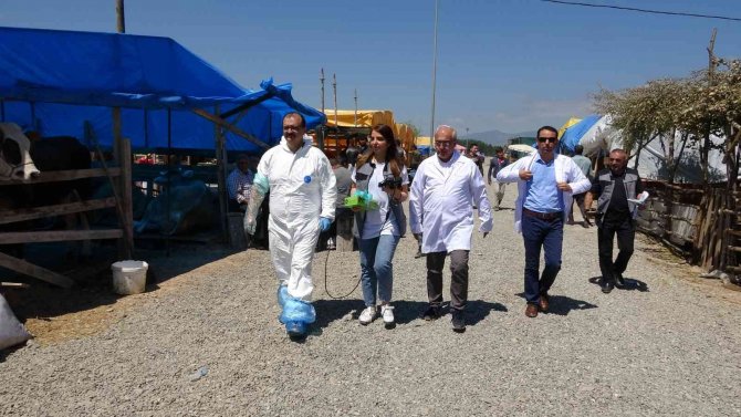 Kurban Pazarında ‘Ultrason’ Ekibi Görev Başında