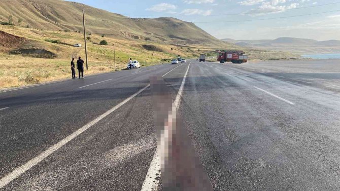 Yola Fırlayan Başıboş Köpeğe Çarpan Minibüs Takla Attı