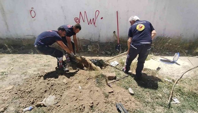 Sulama Kanalına Düşen Köpek Kurtarıldı