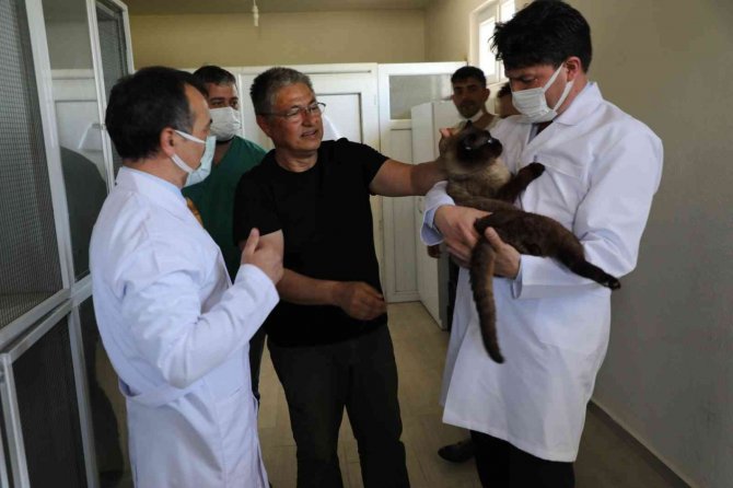 Can Dostları Sahiplerinin Dikkatine