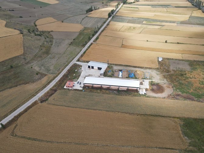 Tkdk Verdi, Kendi Besi Çiftliğini Kurdu