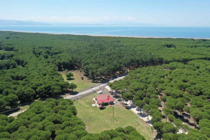 Çarşamba’ya 50 Hektarlık Orman Park