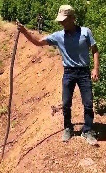 Dağda Bulduğu 3 Metrelik Yılanı Önce Sevdi, Sonra Tekrar Doğaya Bıraktı