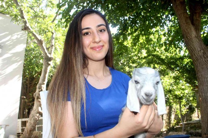 Adıyaman’da Milyonda Bir Gerçekleşen Gebelik Yaşandı