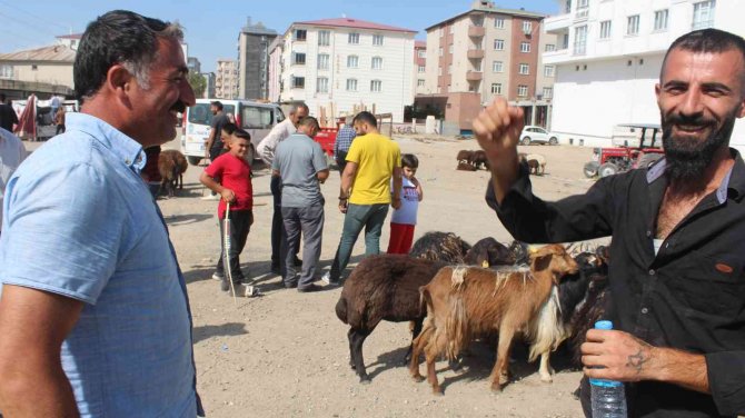 Iğdır’da Hayvan Pazarında Kurban Bayramı Yoğunluğu