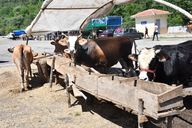 Karabük’te Hayvan Pazarında Gözler Arife Gününde