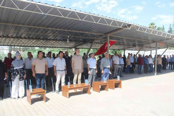 Üreticilere Silajlık Mısır Tohumu Dağıtıldı