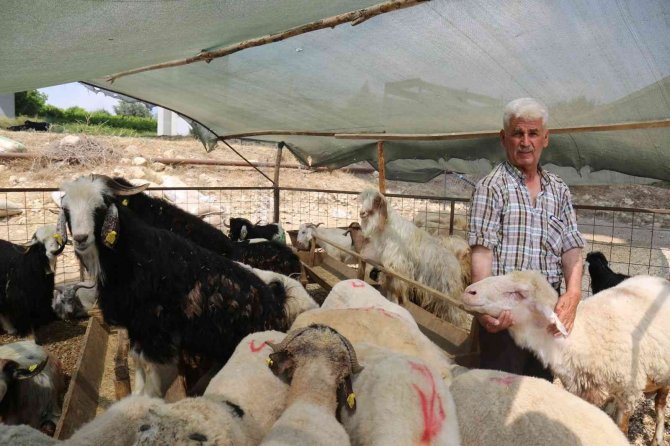 Mezitli’de Bayram Tedbirleri Alındı