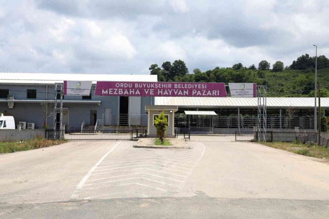 Karadeniz’in En Büyük Mezbahası Hazır