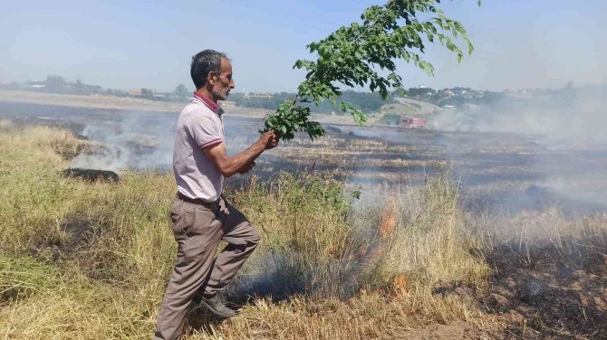 Saman Balyaları Alev Aldı, Ormanlık Alana Sıçramadan Söndürüldü