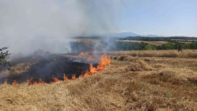 Saman Balyaları Alev Aldı, Ormanlık Alana Sıçramadan Söndürüldü