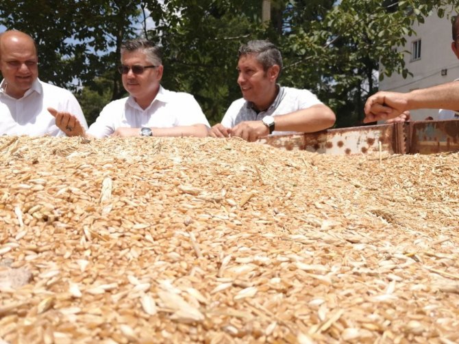Tarım Lisesinde İlk Hasat Heyecanı Yaşandı.