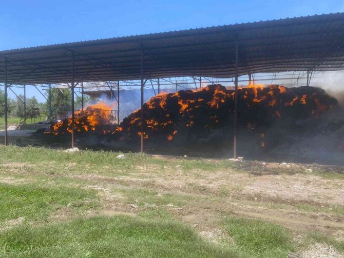 Sigara İzmariti 5 Ton Buğday Ve 2 Bin Balya Samanı Yaktı
