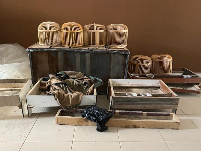 Siirt’te Bir Evin Bahçesinde 10 Canlı Keklik Ele Geçirildi
