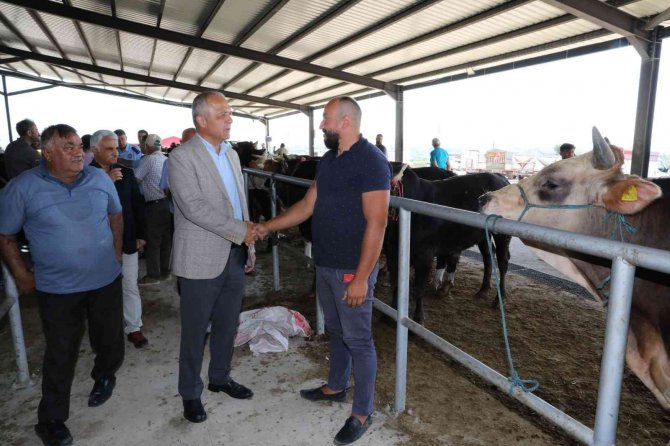 Hayvancılığın Lokomotifi Suluova’ya 20 Bin Metrekarelik Hayvan Pazarı