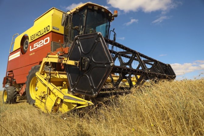 Tekirdağ’da 6 Bin Yıllık Ata Tohumları Hasat Edildi