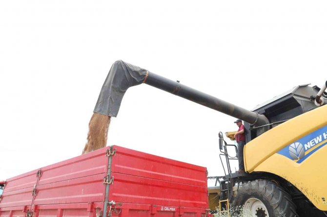 Tekirdağ’da Buğday Hasadı Sürüyor