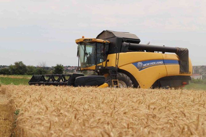 Tekirdağ’da Buğday Hasadı Sürüyor