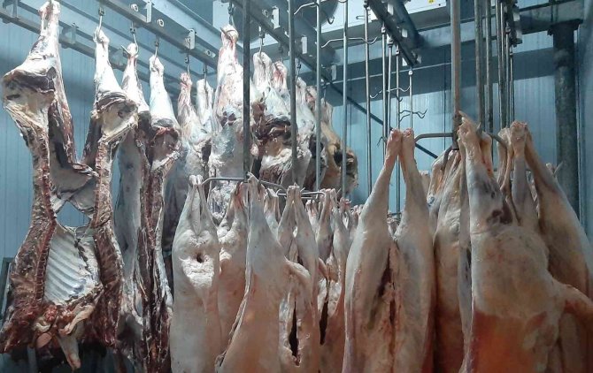 Samsun’un Tek Ruhsatlı Mezbahası Kurban Bayramı’na Hazır