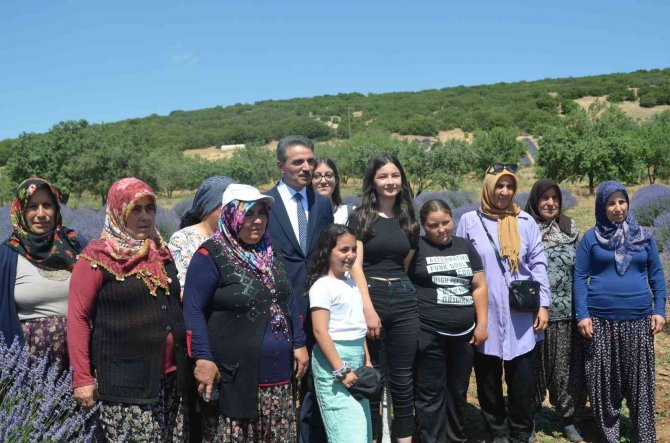 Isparta Lavanta Festivaline Hazırlanıyor