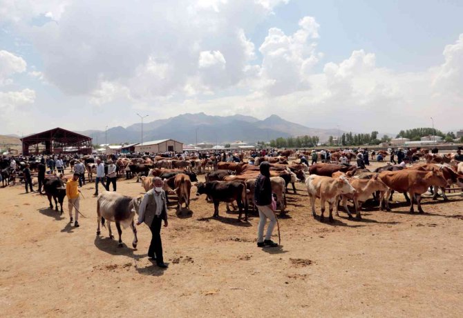 Van’da Kurban Kesim Yerleri Belirlendi