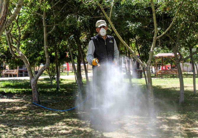 Van’da Bayram Öncesi Park, Bahçe Ve Mesire Alanları İlaçlanıyor