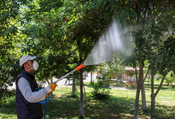 Van’da Bayram Öncesi Park, Bahçe Ve Mesire Alanları İlaçlanıyor