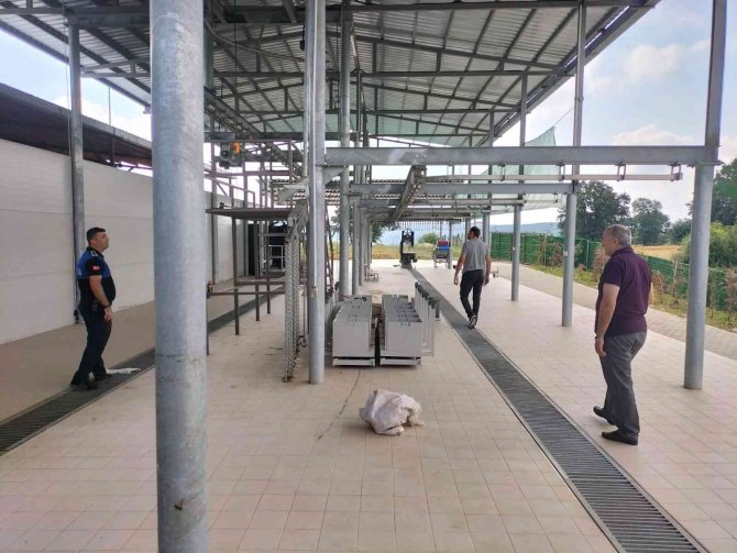 Altınova’da Kurban Satış Ve Kesim Yerlerine Sıkı Denetim