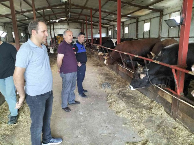 Altınova’da Kurban Satış Ve Kesim Yerlerine Sıkı Denetim