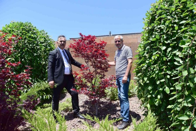 Ahlat’ta Botanik Çeşitlilik Artırılıyor