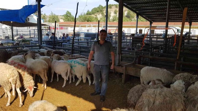 Karabük’te Arefe Günü Kurbanlık Satışları Arttı