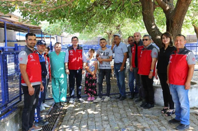 Hayvan Satış Ve Kesim Yerleri Bayrama Hazır