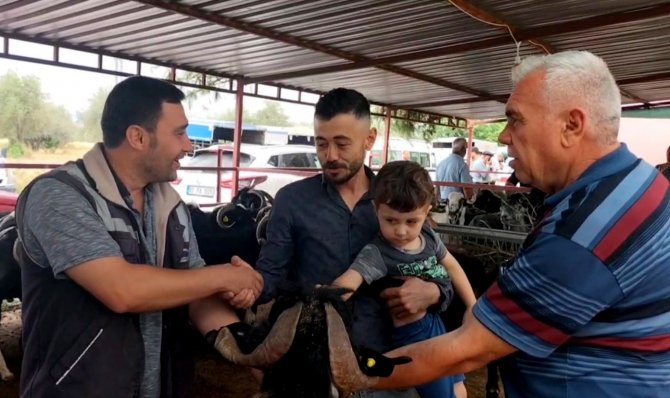Kurban Pazarında Kıran Kırana Pazarlıklar