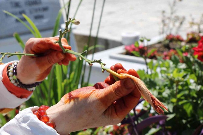 Arefe Gününde Şehitlikte Duygulandıran Anlar
