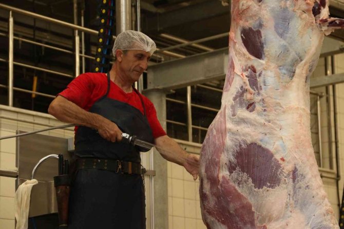 Kurbanlar Modern Teknik Ekipmanlarla Kesiliyor